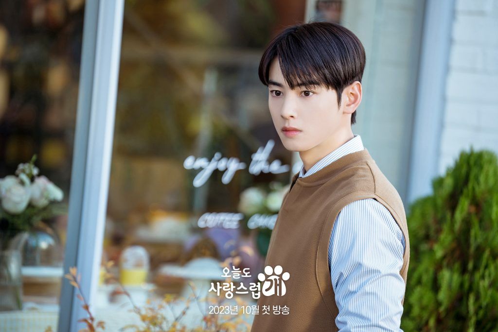cha eun woo